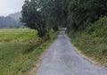 Asphalted road in the countryside where the pilgrims walk in the Camino de Santiago, Galicia, Spain. Royalty Free Stock Photo