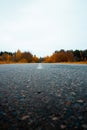 Asphalted road and fall woods. Vertical shot. Royalty Free Stock Photo