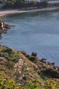 Asphodel viewed during sunup on calamosca beach from capo sant`Elia lighthouse