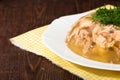 Aspic of chicken meat, beef and pork. Royalty Free Stock Photo