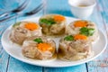 Aspic jellied meat with vegetables Royalty Free Stock Photo