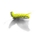 Aspiration concept and ambition idea as a caterpillar casting a shadow odf a butterfly