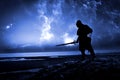 Assassin at starry night Royalty Free Stock Photo