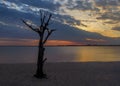 Assateague Island Sunset