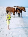 Assateague Ponies & Young Boy Royalty Free Stock Photo