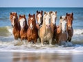 Assateague Wild Ponies on the Beach Royalty Free Stock Photo