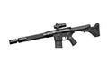 Assault semi-automatic rifle Royalty Free Stock Photo