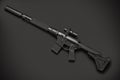 Assault semi-automatic rifle Royalty Free Stock Photo