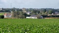 Asse, Flemish Brabant, Belgium - The agriculture fields with corn plants and village houses
