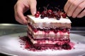 assembling gateau with cherry filling