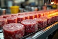 Assembly line of uncooked meat patties in modern food processing facility Royalty Free Stock Photo