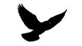 Assertive crow silhouette in flight, representing wisdom and keenness, vector design Generative AI Royalty Free Stock Photo