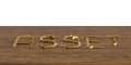 Asset word mark of golden coins on board 3D illustration.