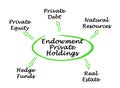 Assets in Endowment Private Holdings