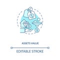 Assets valuation concept icon