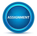 Assignment Eyeball Blue Round Button