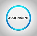 Assignment Round Blue Push Button