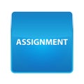 Assignment shiny blue square button