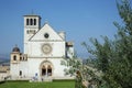 Facade of Upper Basilica of Saint Francis and olive tree