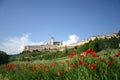 Assisi in spring