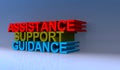 Assistance support guidance