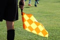 Assistant referees in action during a soccer match Royalty Free Stock Photo
