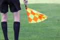 Assistant referees during a soccer match Royalty Free Stock Photo