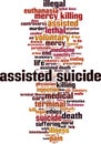 Assisted suicide word cloud