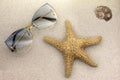 Flat layout. Women\'s sunglasses lying on the sand. Next to it is a starfish and a shell. A symbol of rest in a warm country Royalty Free Stock Photo