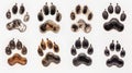 Assorted animal paw prints arrayed in rows on a white background, showcasing diverse patterns and sizes