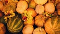 Assorted autumn pumpkins, squash and gourds Royalty Free Stock Photo