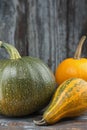 Assorted Autumn Squash Royalty Free Stock Photo