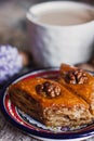 Assorted baklava. A Turkish ramadan arabic sweet dessert on a decorative plate, with coffee cup in the background Royalty Free Stock Photo