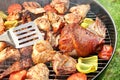 Assorted BBQ Roasted Pork And Chicken Meat With Vegetables Royalty Free Stock Photo