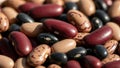 Of assorted beans in various colors including deep red black beige and Royalty Free Stock Photo