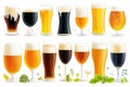 Assorted beer glasses with fresh hops and ingredients set on white background Royalty Free Stock Photo