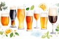 Assorted beer glasses with fresh hops and ingredients set on white background Royalty Free Stock Photo