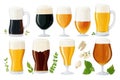 Assorted beer glasses with fresh hops and ingredients set on white background Royalty Free Stock Photo