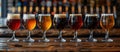 Assorted Beers in Row Royalty Free Stock Photo