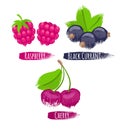 Assorted berries set vector illustration. Royalty Free Stock Photo