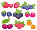Assorted berries set vector illustration. Royalty Free Stock Photo