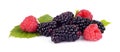 Assorted blackberries and raspberries isolated white background Royalty Free Stock Photo