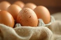 Assorted Brown and Speckled Eggs Neatly Arranged in a Carton