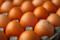 Assorted Brown and Speckled Eggs Neatly Arranged in a Carton