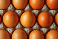 Assorted Brown and Speckled Eggs Neatly Arranged in a Carton