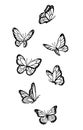 Butterfly Drawing Outline Aesthetic, Vector Unique Pattern, Sketch Line art