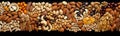 Assorted cashew mixed almonds snack healthy dried vegan hazelnut walnut nut Royalty Free Stock Photo