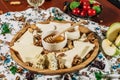 Assorted cheeses on round wooden board plate served with white wine Guda cheese, cheese grated bark of oak, hard cheese slices, Royalty Free Stock Photo