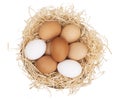 Assorted chicken, hens eggs in one basket isolated on white. Different colors: brown white and speckled. Royalty Free Stock Photo