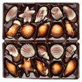 Assorted chocolate candies of sea-shells shapes in a box, close-up. Top view, flat lay Royalty Free Stock Photo